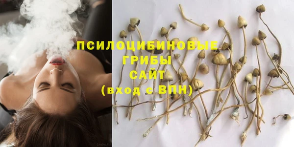 крисы Гусев