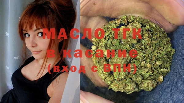 крисы Гусев
