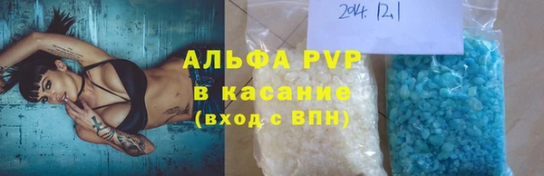 крисы Гусев