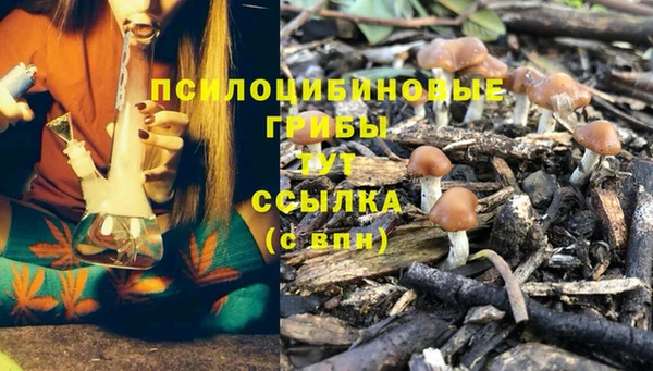 крисы Гусев