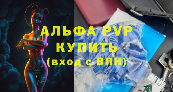 крисы Гусев