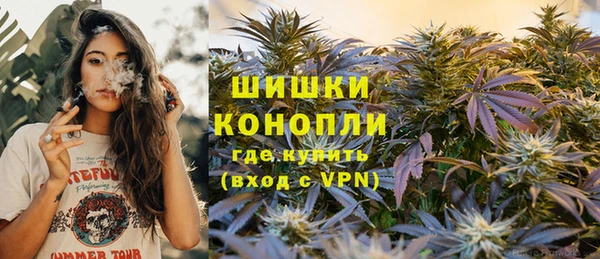 крисы Гусев