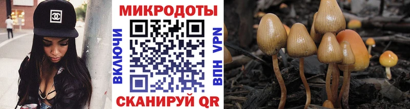 Купить закладки  Ефремов  Псилоцибиновые грибы Psilocybine cubensis 